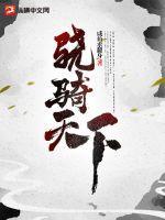 骁骑txt