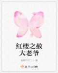 红楼之赦大老爷穿越记