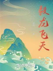 飞天龙翔酒鉴赏