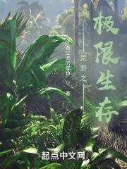 荒野求生极限系统