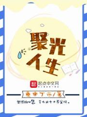 聚光人生txt