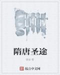 隋唐传