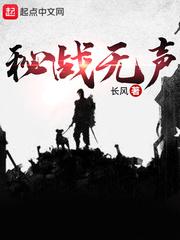 秘战无声有声书