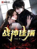战神女婿免费阅读