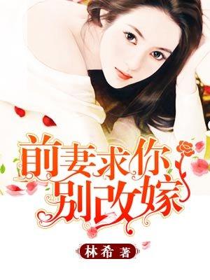 求你别改嫁免费阅读