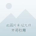 魔欲弑神 家家户户