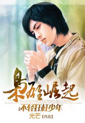 枭雄崛起凌风免费阅读