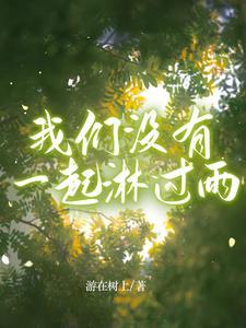 我们一起淋过雪算不算