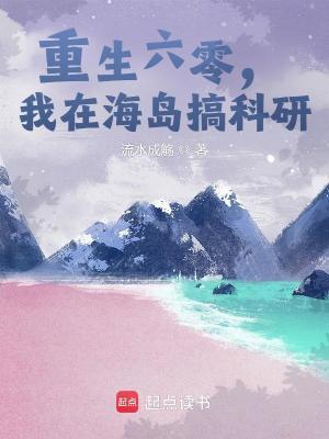 六零海岛生活全文
