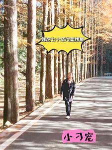 我在七十年代吃瓜的日子格格党