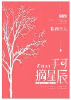 手可摘星辰歌曲