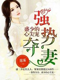 强婚盛爱