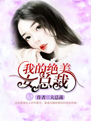 我的绝美女总裁老婆