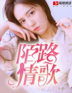 陌路人的歌