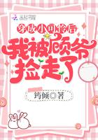 穿成小可怜后我被顾大佬捡走了