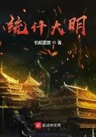 统计大明 第1039章