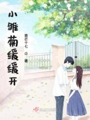 小雏菊开花后怎么养