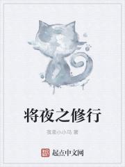将夜中修行境界
