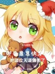 御兽流系统