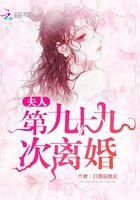 夫人的第99次出逃