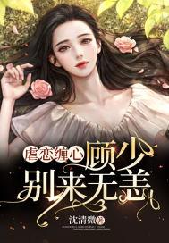 顾少别来无恙夏轻尘顾景琛