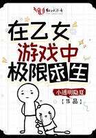 在乙女游戏中搅基37